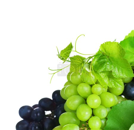 Grapes Border Isolated On White