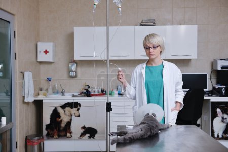 Female veterinary
