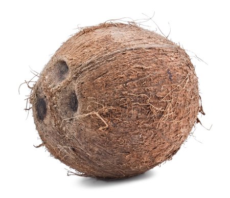 Whole coconut on the white