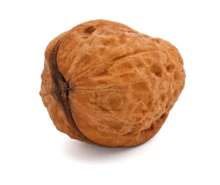 Greek nut