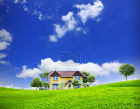 Colorful classic house