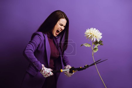 angry young woman cutting chrysanthemum with gardening scissors on purple background