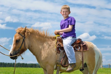 Child ride pony