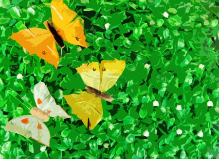 Butterflies on green leaves
