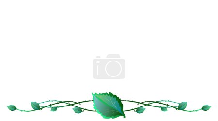 Leaves with barbed wire
