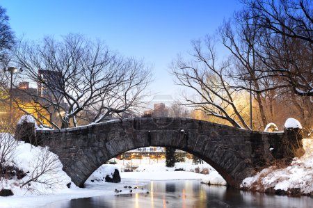 New York City Central Park bridge in winter