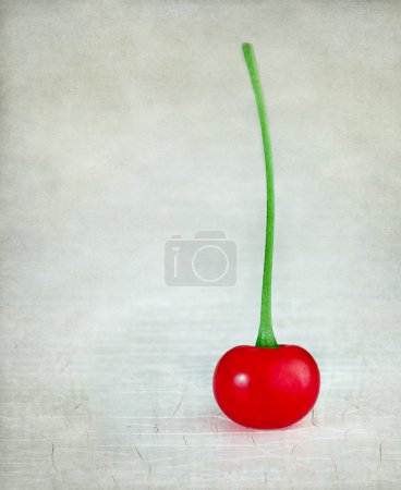Single cherry on a rustic textured background